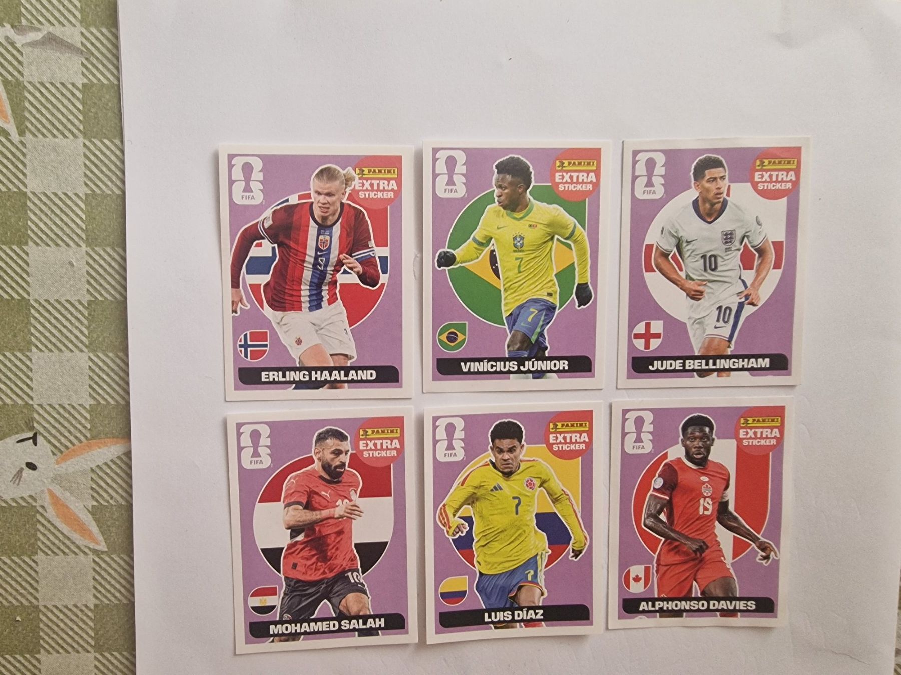 Panini Carte collezionabili: Panini extra Stickers WM 2026 - 6 verschiedene – Nuovo (secondo la descrizione) da Adliswil venduto da vendor123