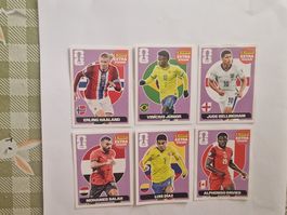Panini extra Stickers WM 2026 - 6 verschiedene
