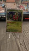 Pokemon Karte Meganium 010/132 Selten!