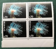 4er Block Briefmarken aus Monaco Mediterrane Fauna 1980