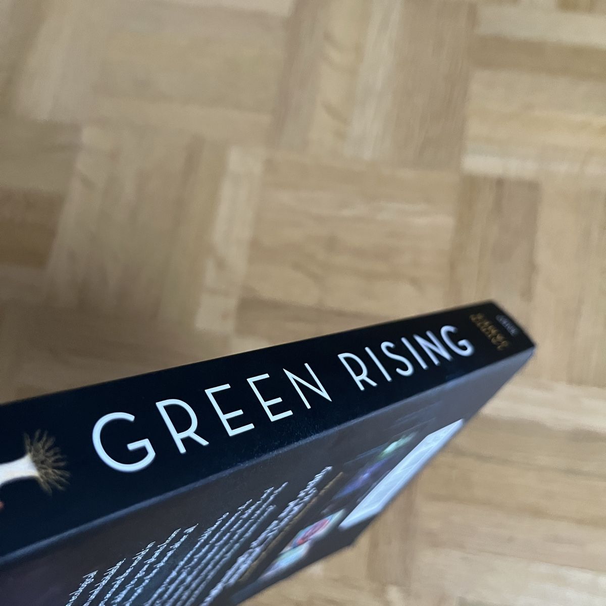 Libri: Green Rising - Lauren James – Nuovo (secondo la descrizione) da Kilchberg ZH venduto da celinaemi 2