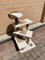 Katzenbaum