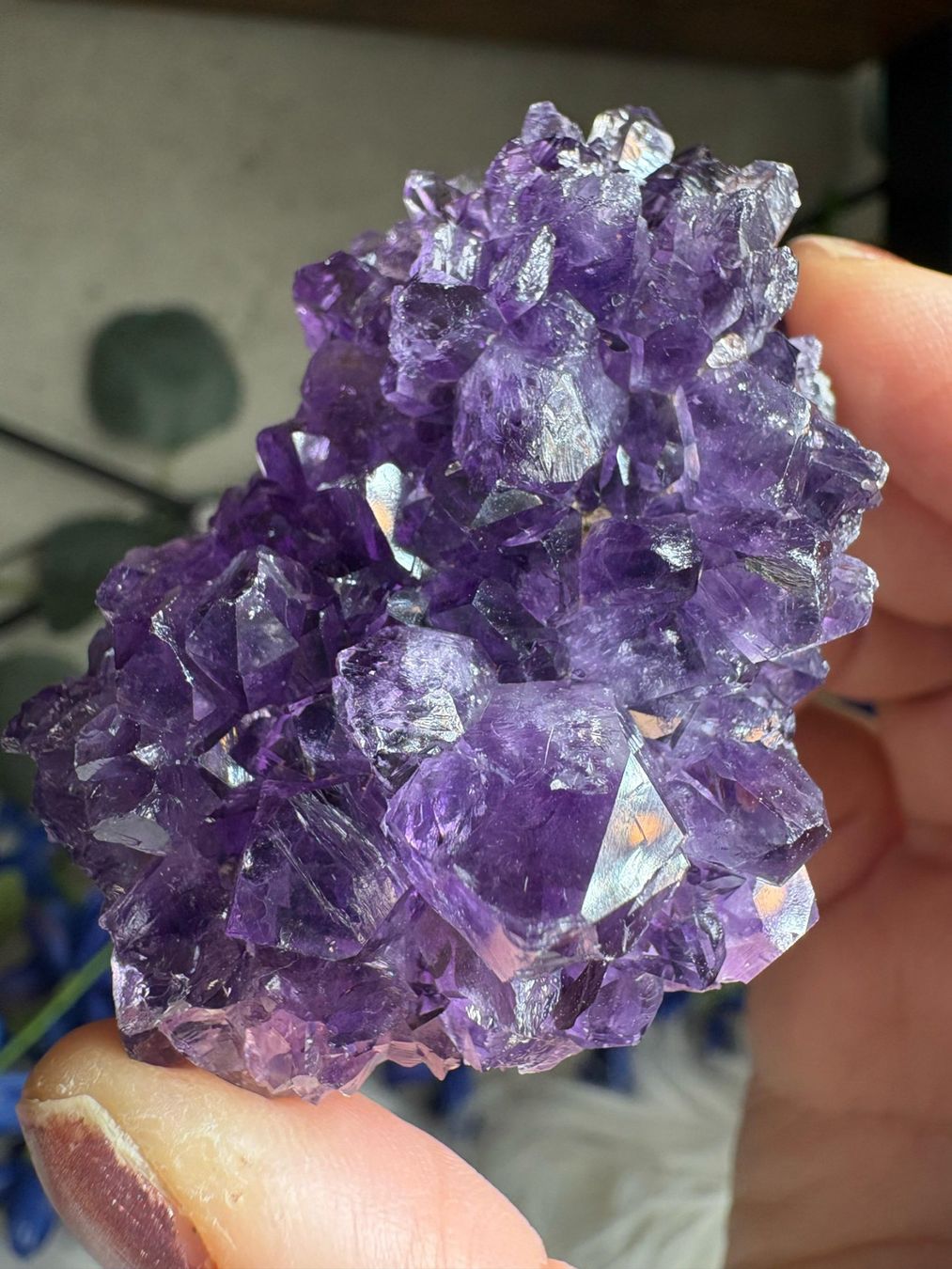 Pietre preziose: Uruguay Amethyst – Super High Quality – Nuovo (secondo la descrizione) da Neuheim venduto da m.hald 1