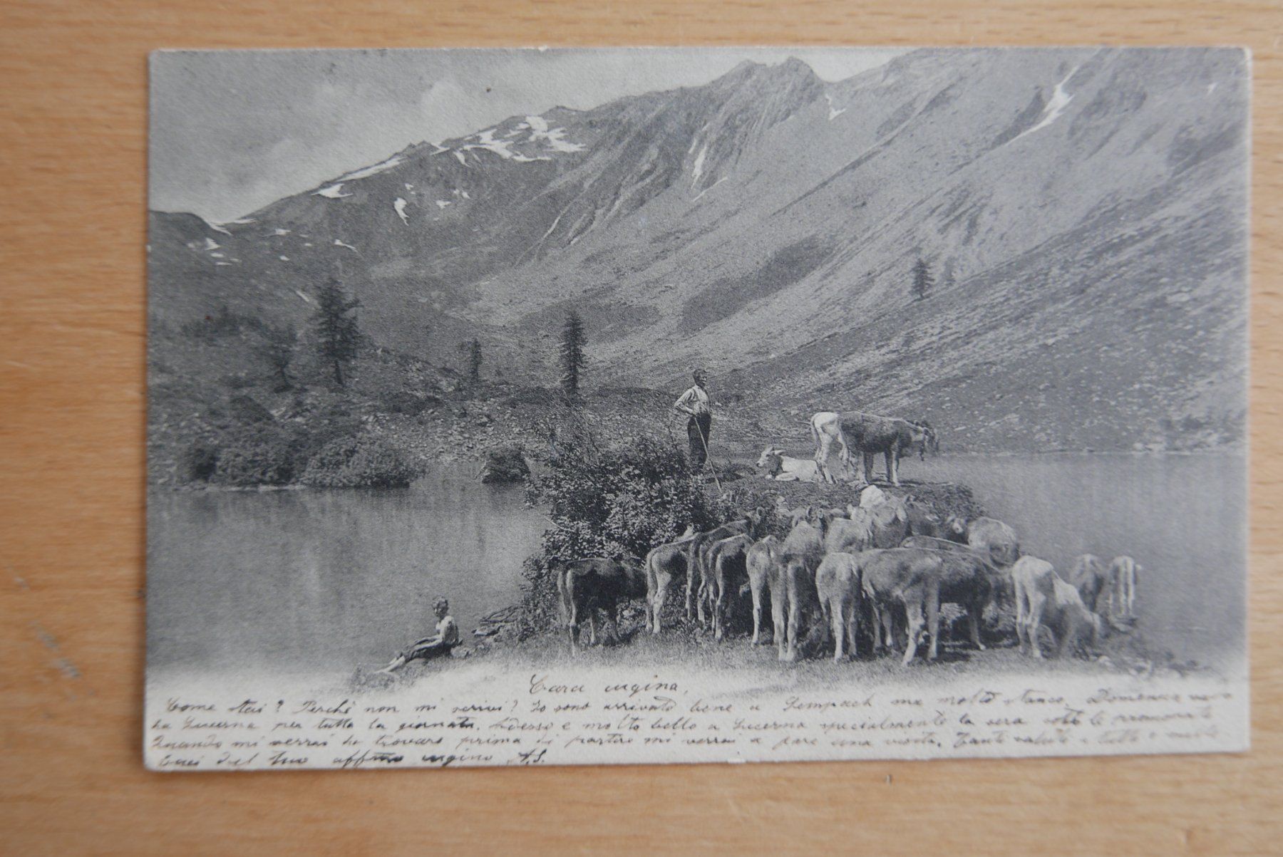 Cartes postales: Ansichtskarte 1903 – D'occasion à Rotkreuz par nigal