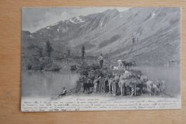 Ansichtskarte 1903