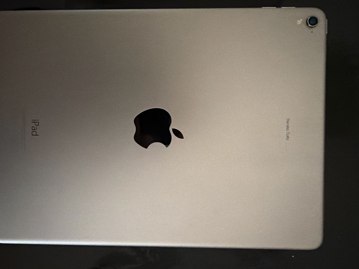 Apple Tablet PC: iPad Pro 9.7 Zoll 128 GB gebraucht – Gebraucht aus Rebstein von HeerbruggSG 2
