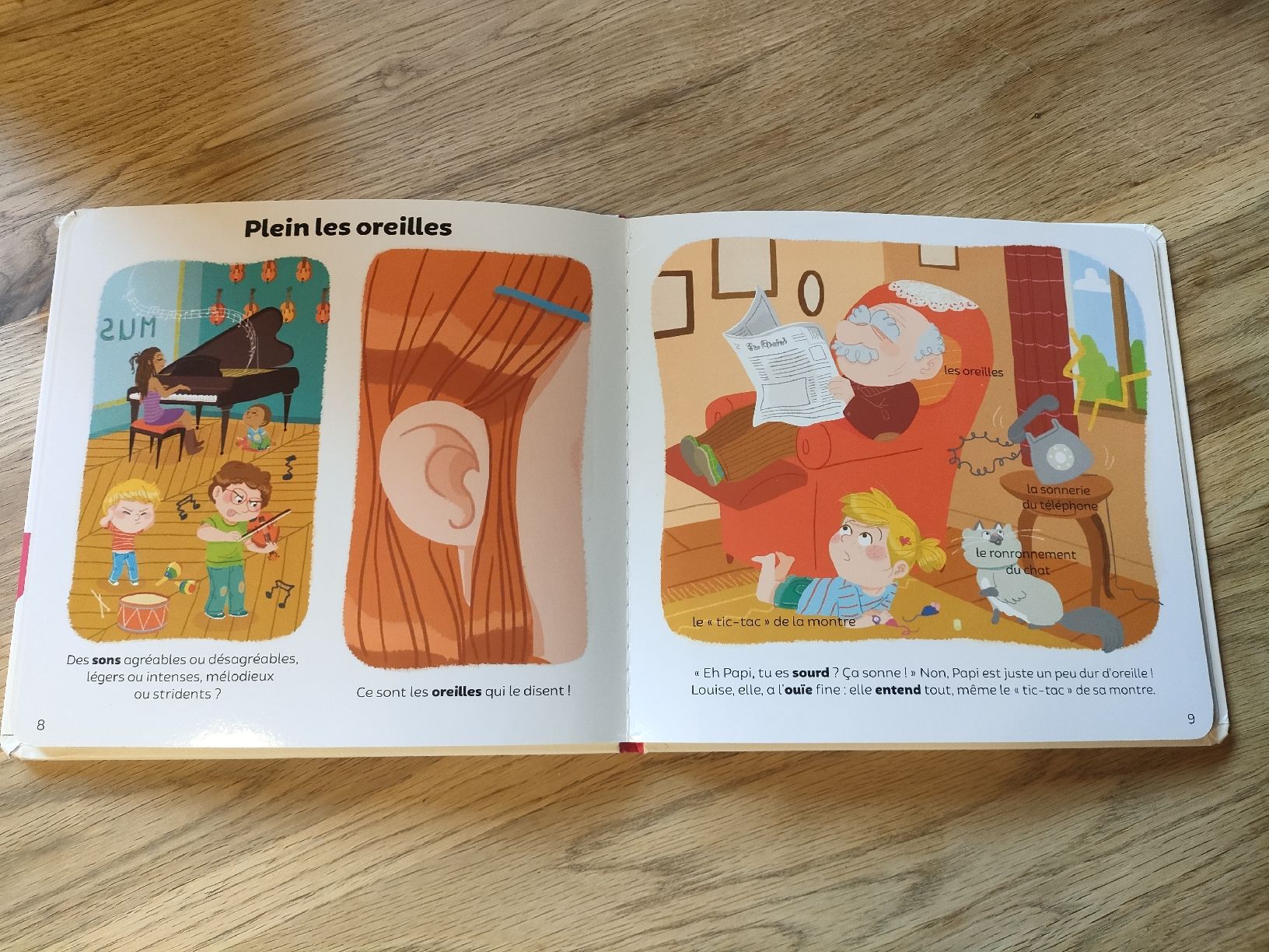 Libri: Les 5 sens Larousse, dès 3 ans – Usato da Charmey (Gruyère) venduto da jen_bcw5 2