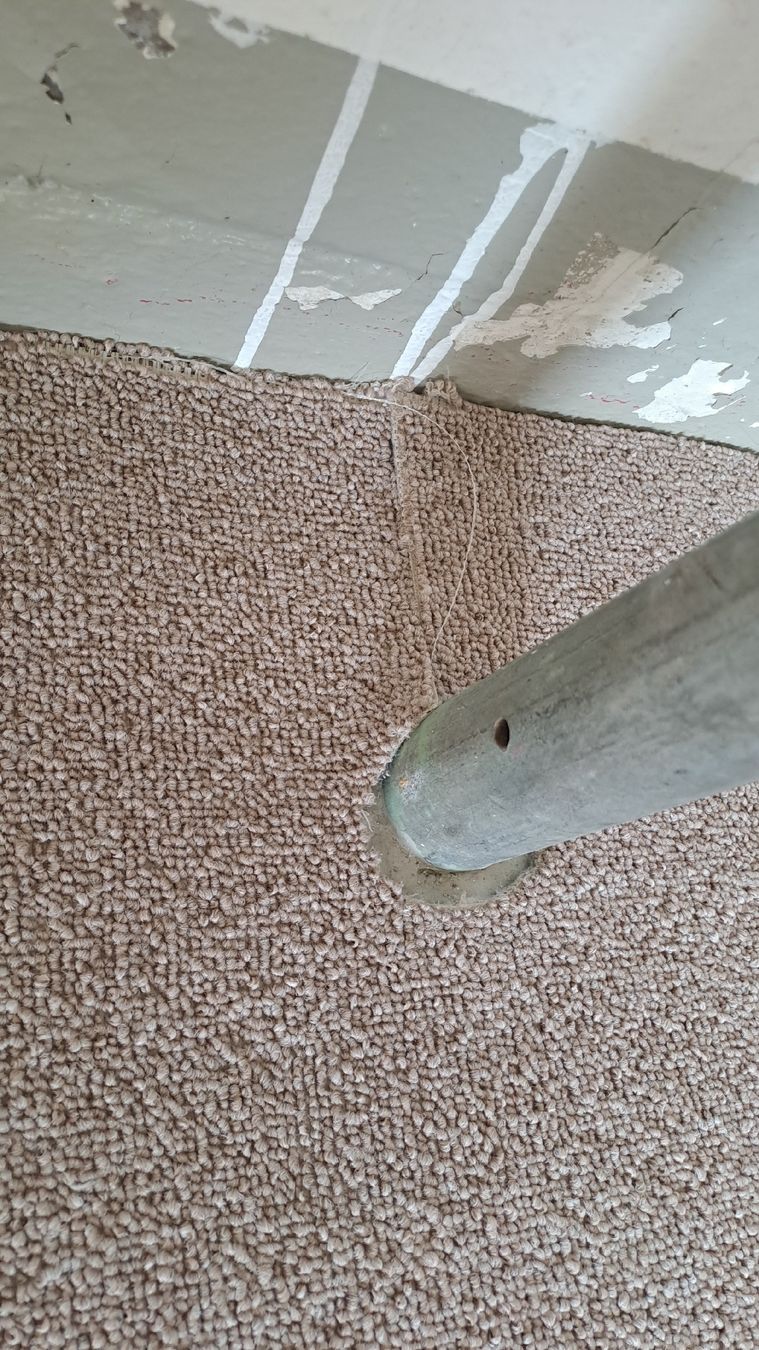 Tappeti: Teppichboden hellgrau ca. 20qm in gutem Zustand  – Usato da Bergdietikon venduto da ele_kwb9 4