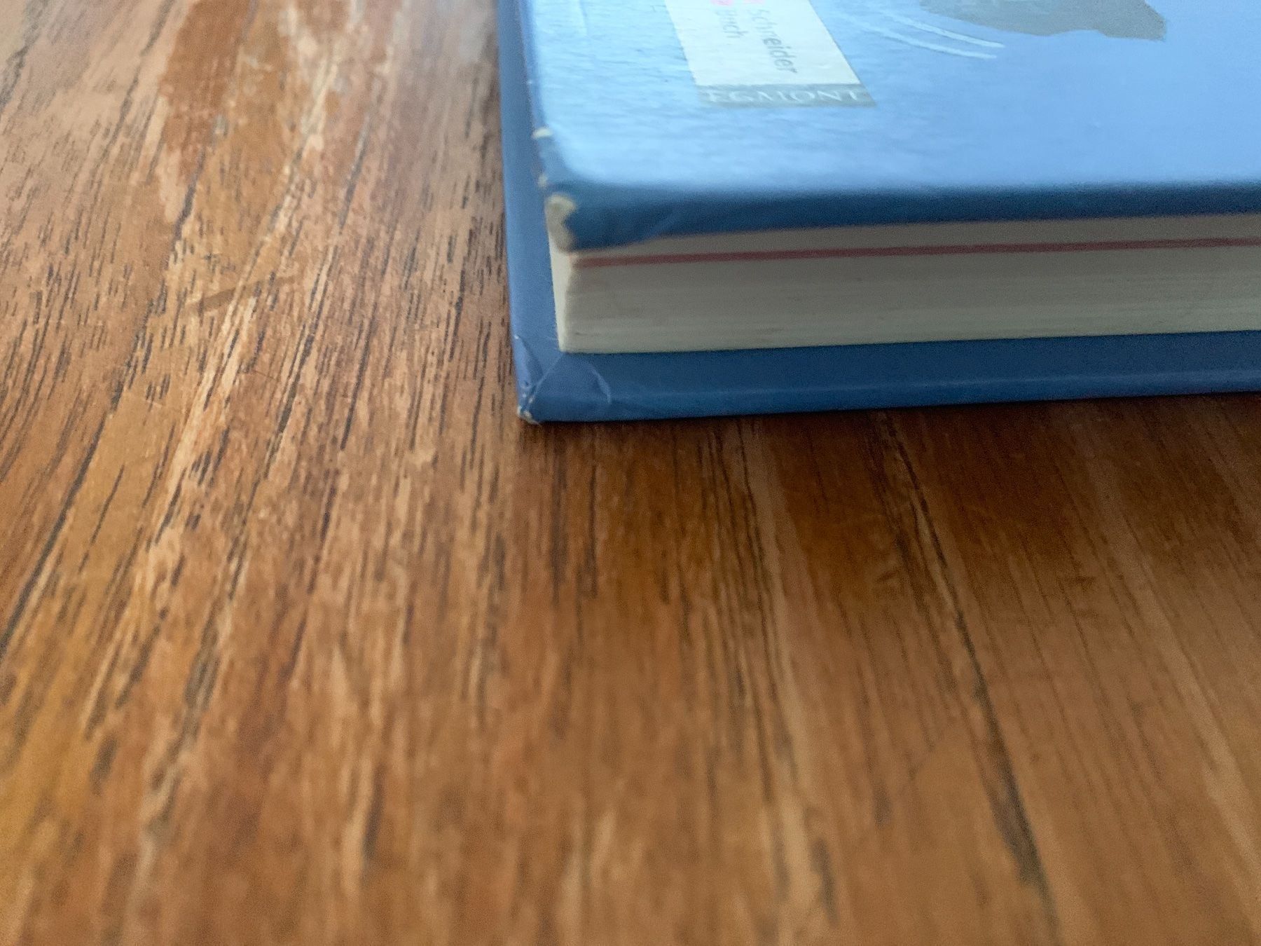 Libri: Schwesterherz, du spinnst ! Buch – Usato da Regensdorf venduto da Spyke55 1