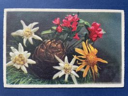 Alte Ansichtskarte Blumenmotiv Rarität Sammlerstück 1943