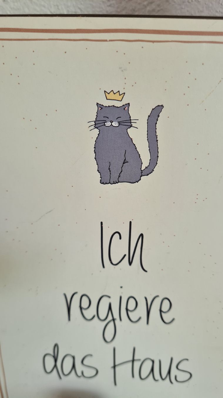 Schilder: Schild mit Spruch – Neu und originalverpackt aus Böttstein von decodor-angi 1