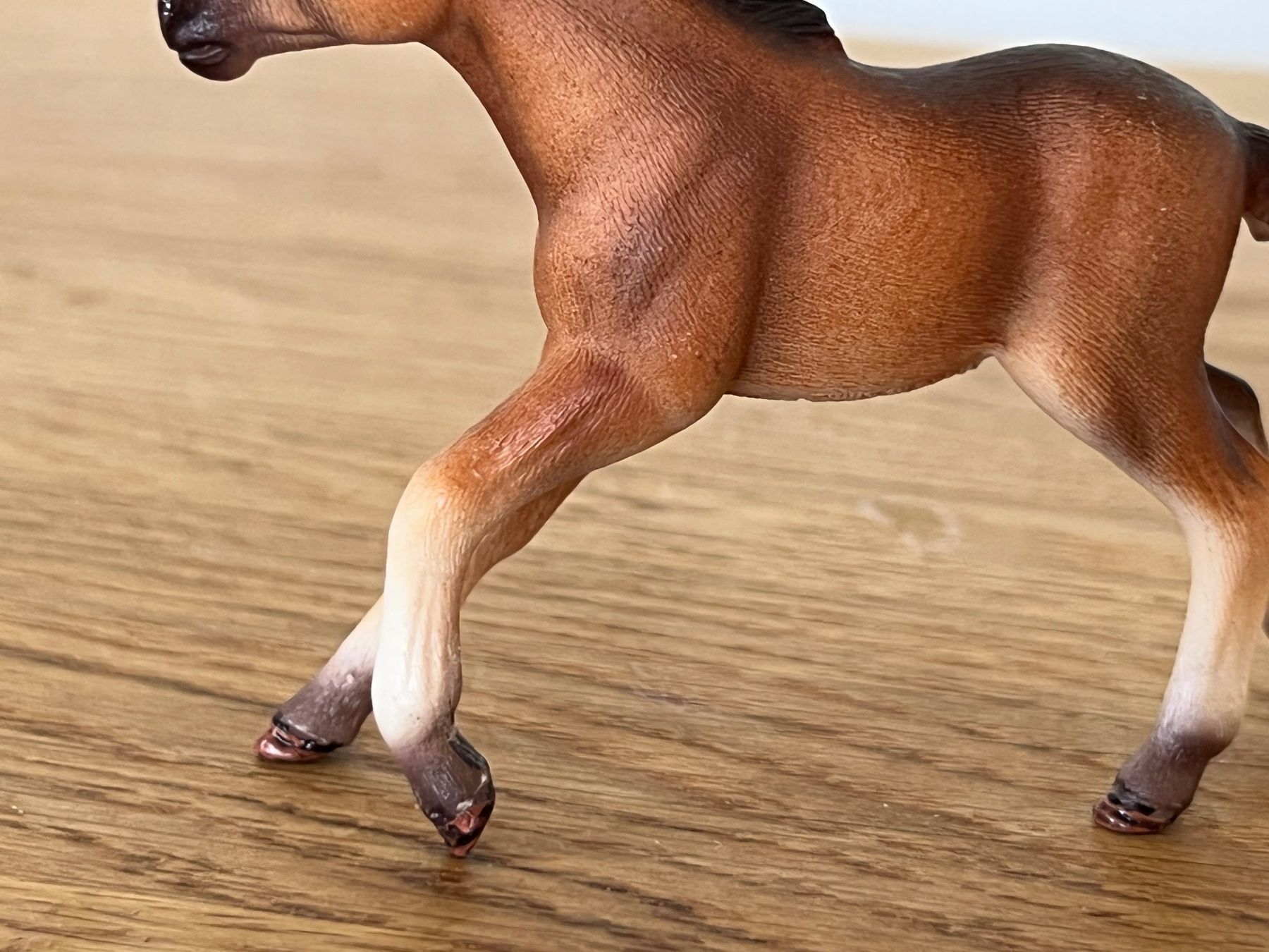 Schleich Statuette: Mustang Fohlen 13807 Schleich – Usato da Ennetbaden venduto da mapa05 2