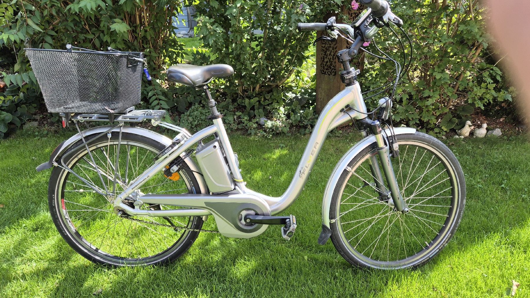 Flyer Biciclette: Flyer C8.1 – Usato da Gachnang venduto da Gufri