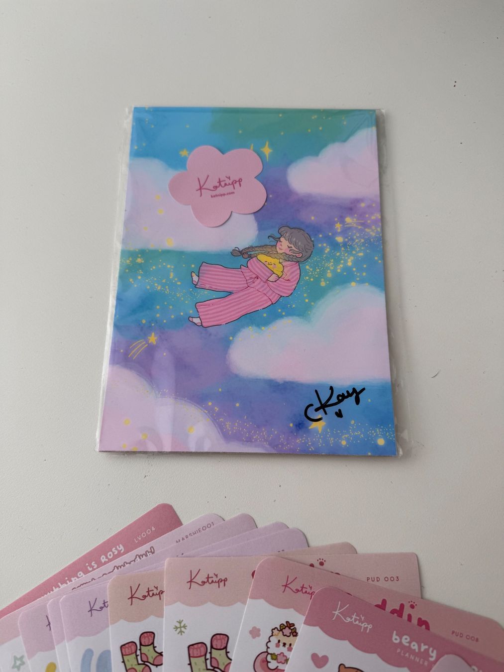 Sticker: Katnipp Studios Sticker, 30 Sticker Sheets, 1 Print – Nuovo (secondo la descrizione) da Brunnen venduto da Moona22 3