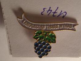 1 Landgasthof Traube Wynau Pin (U743)