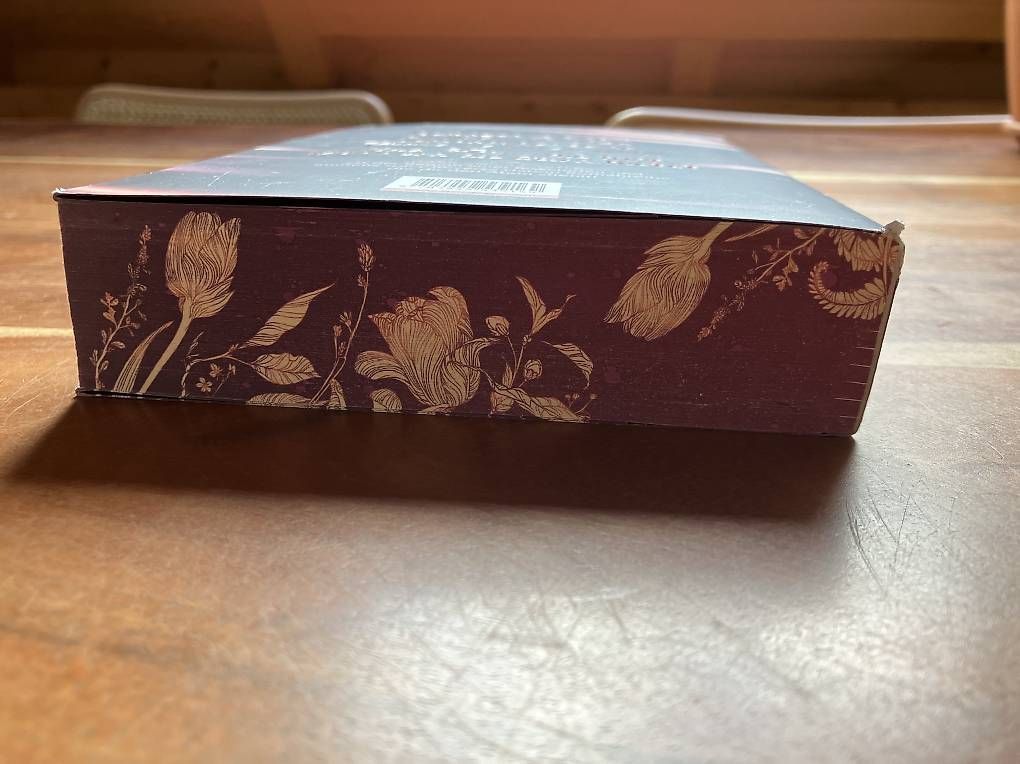 Libri: Dark Gleam Castle von D.C ODESZA – Usato da Winterthur venduto da horvath09 2