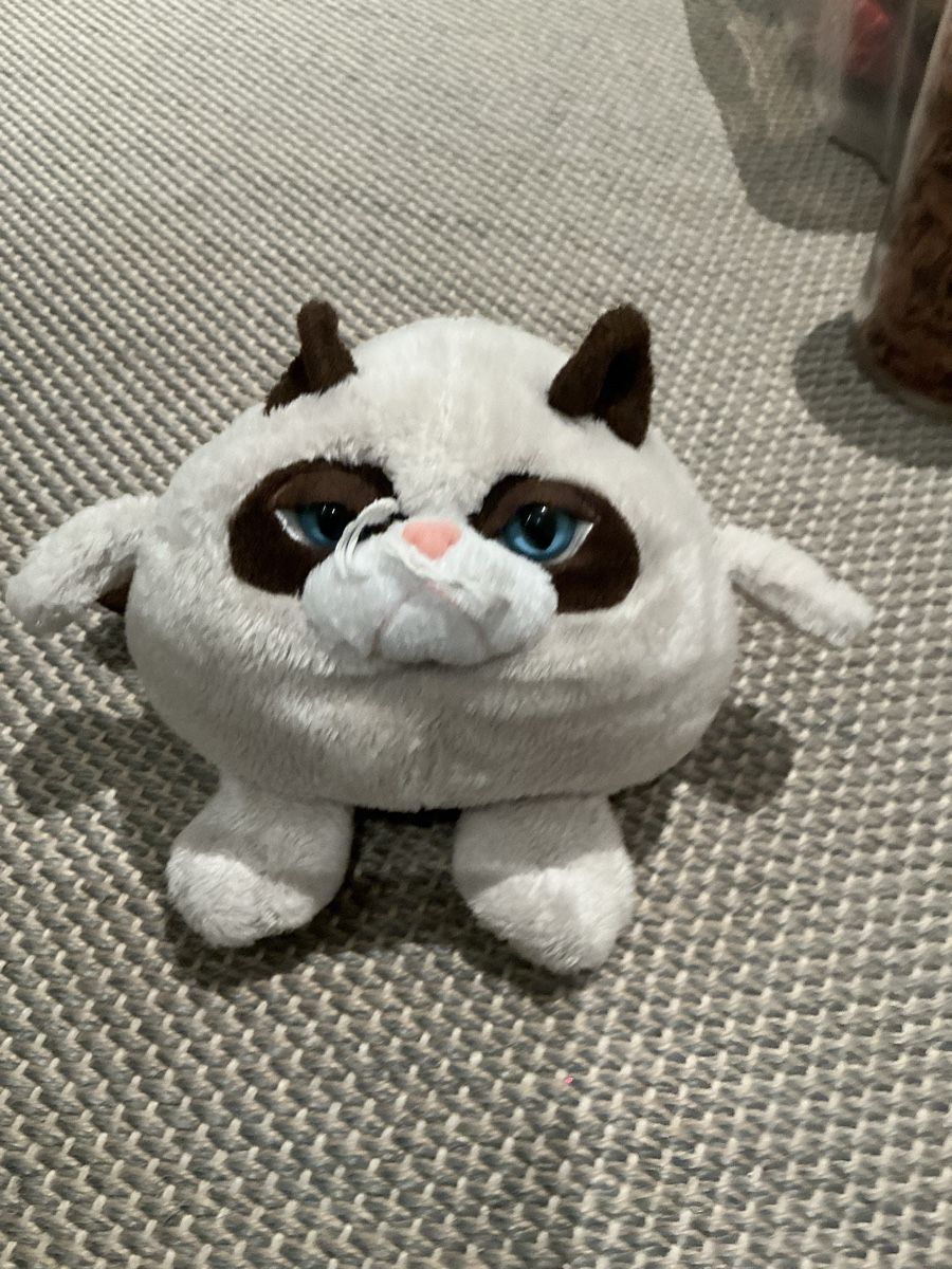 Spielzeuge: Grumpy cat Stofftier/Plüschtier, Katze – Gebraucht aus Winterthur von ale_bbx6