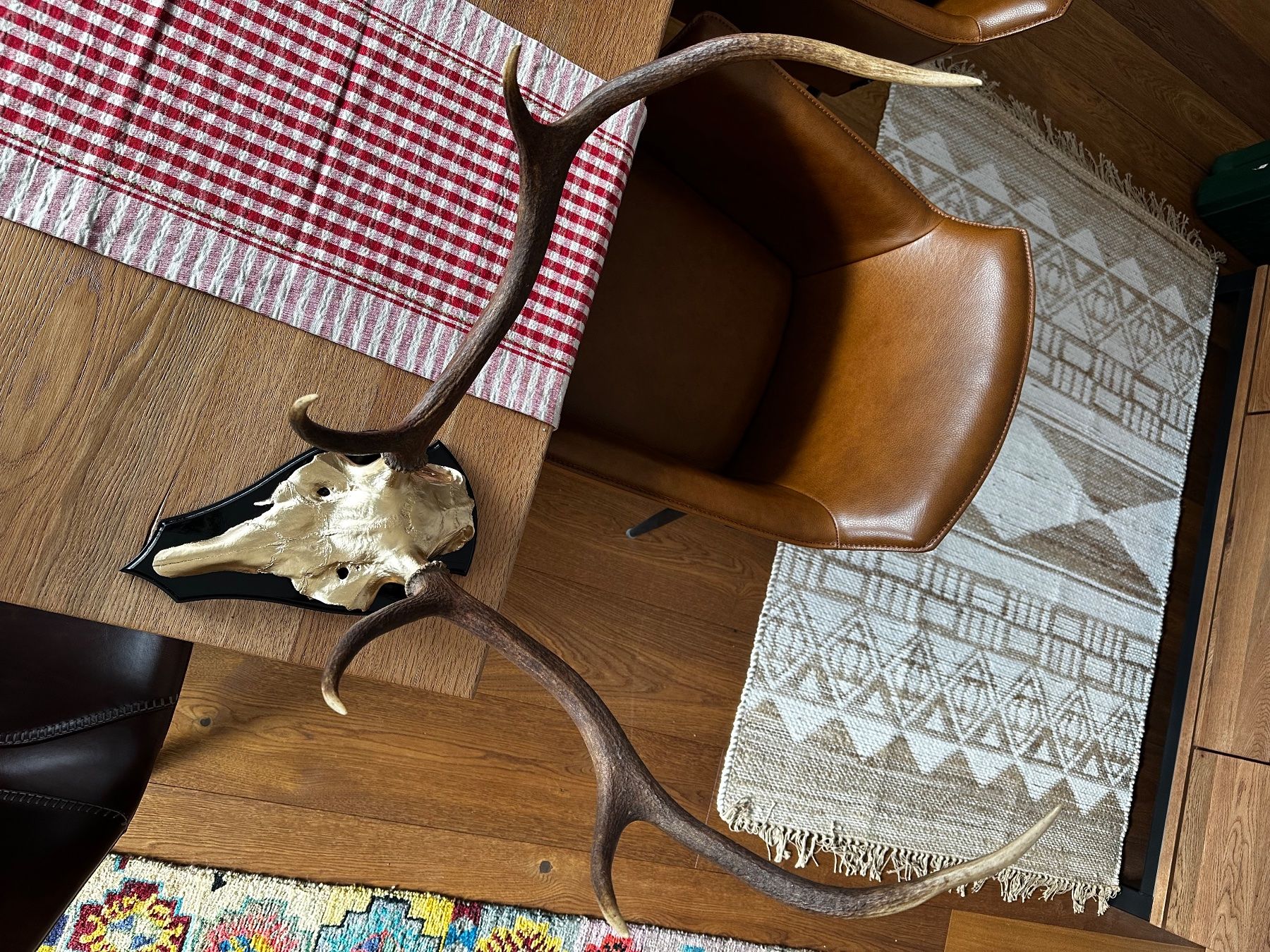 Altre raccolte & rarità: Hirschgeweih – Usato da Gamprin venduto da Ricardoseller01