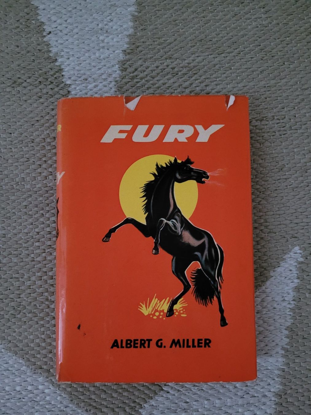 Bücher: Fury – Gebraucht aus Perlen von Safari_23