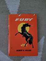 Fury
