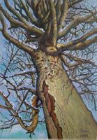 Baum im Winter, Öl auf Leinwand, 70x100cm