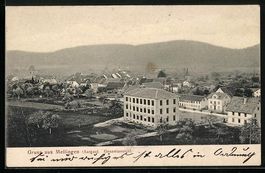 AK Mellingen /Aargau, Gesamtansicht