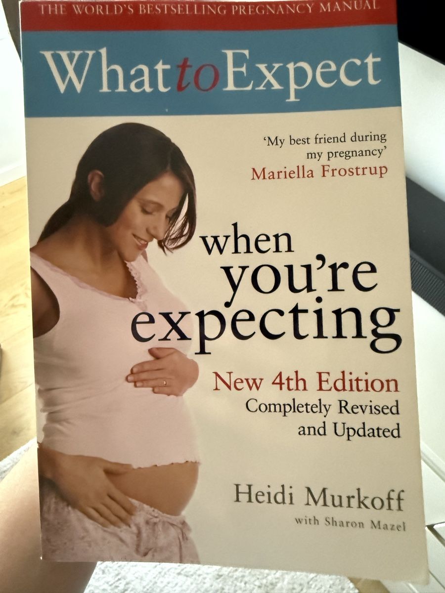 Livres: Pregnancy book – D'occasion à Echichens par Lorevitto