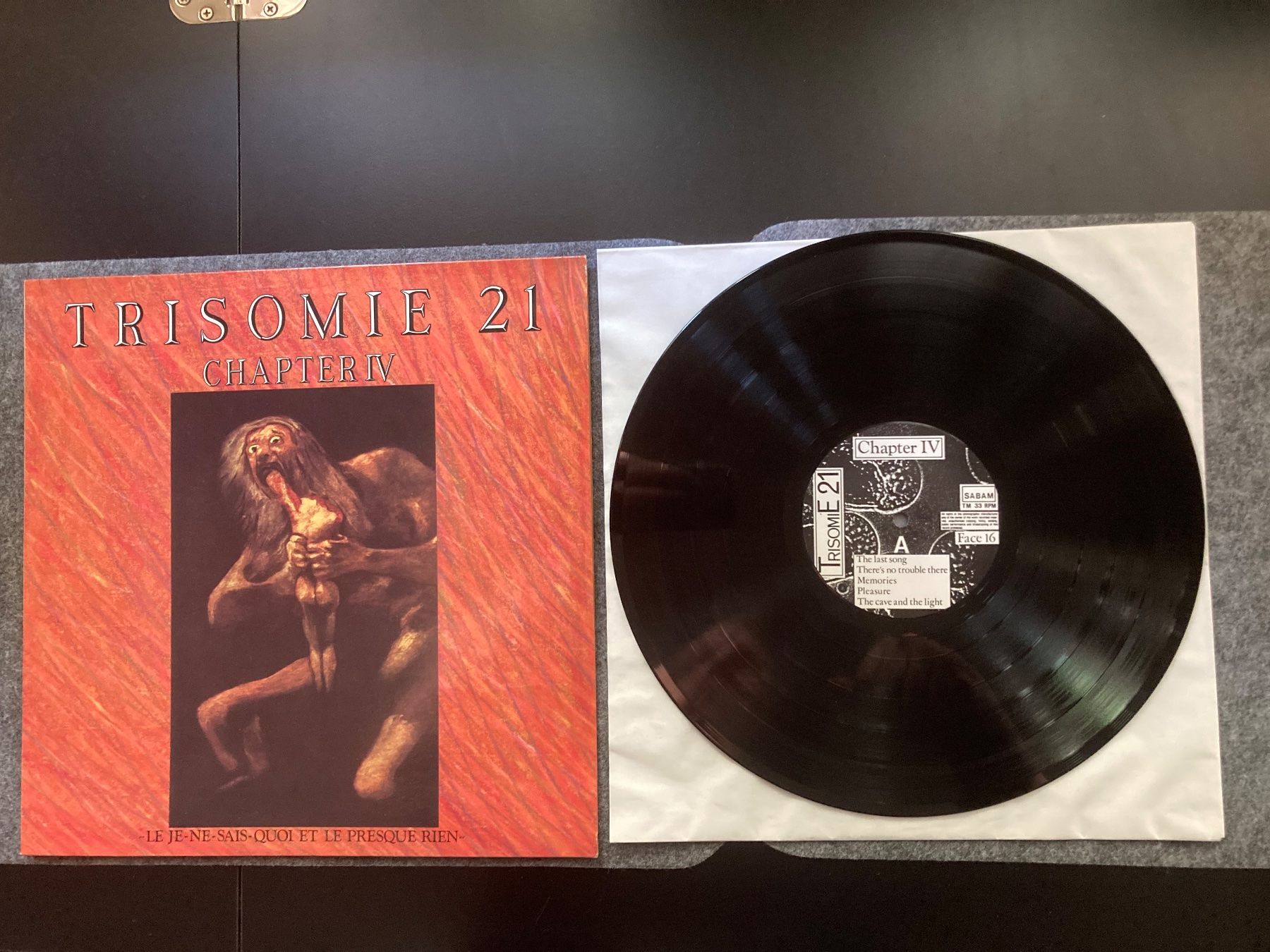 Dischi in vinile: Trisomie 21 - Chapter IV (LP) – Usato da Fribourg venduto da Karushi