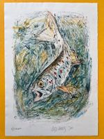 Fritz Hug Original Lithographie Forelle Bachforelle signiert