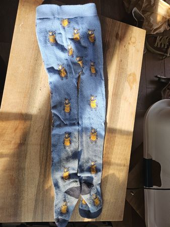 TCM Tchibo Kinder-Strumpfhose Gr. 110/116 Bärli