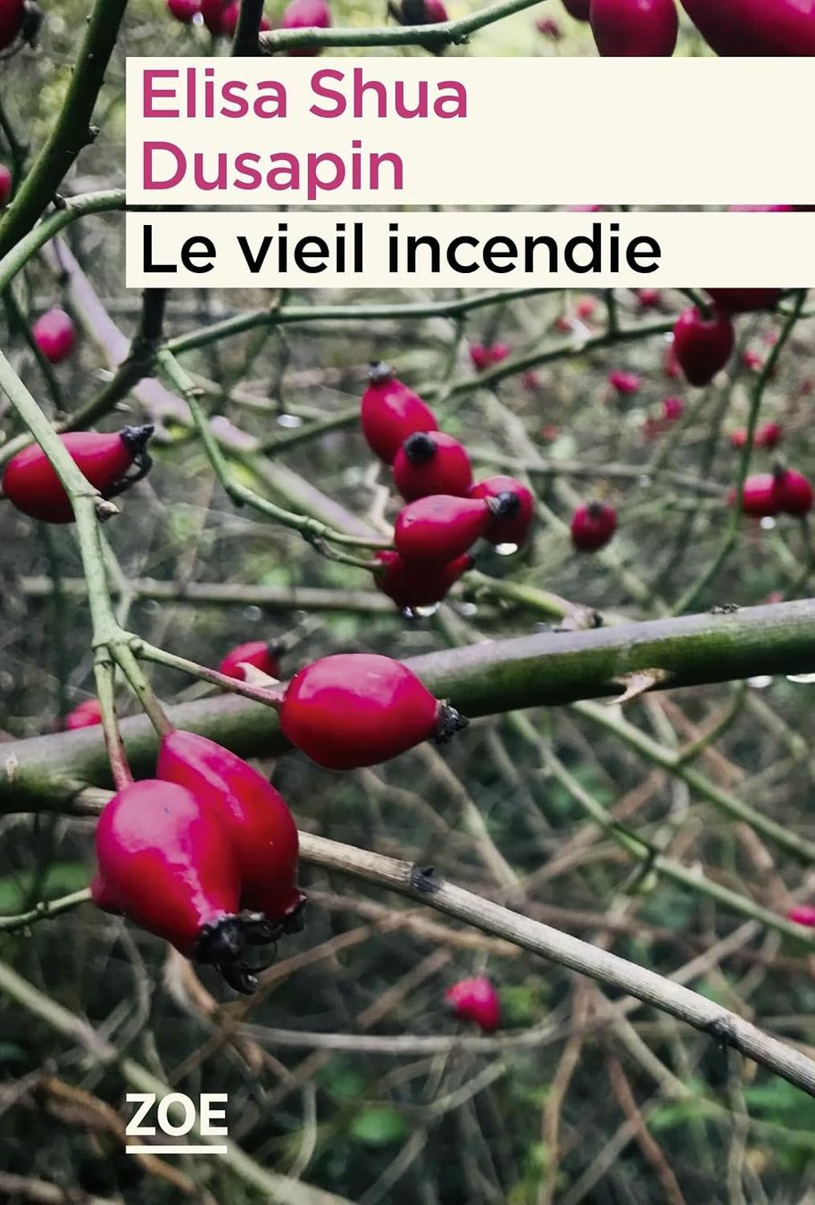 Libri: Le vieil incendie – Usato da Neuchâtel venduto da Dualseele