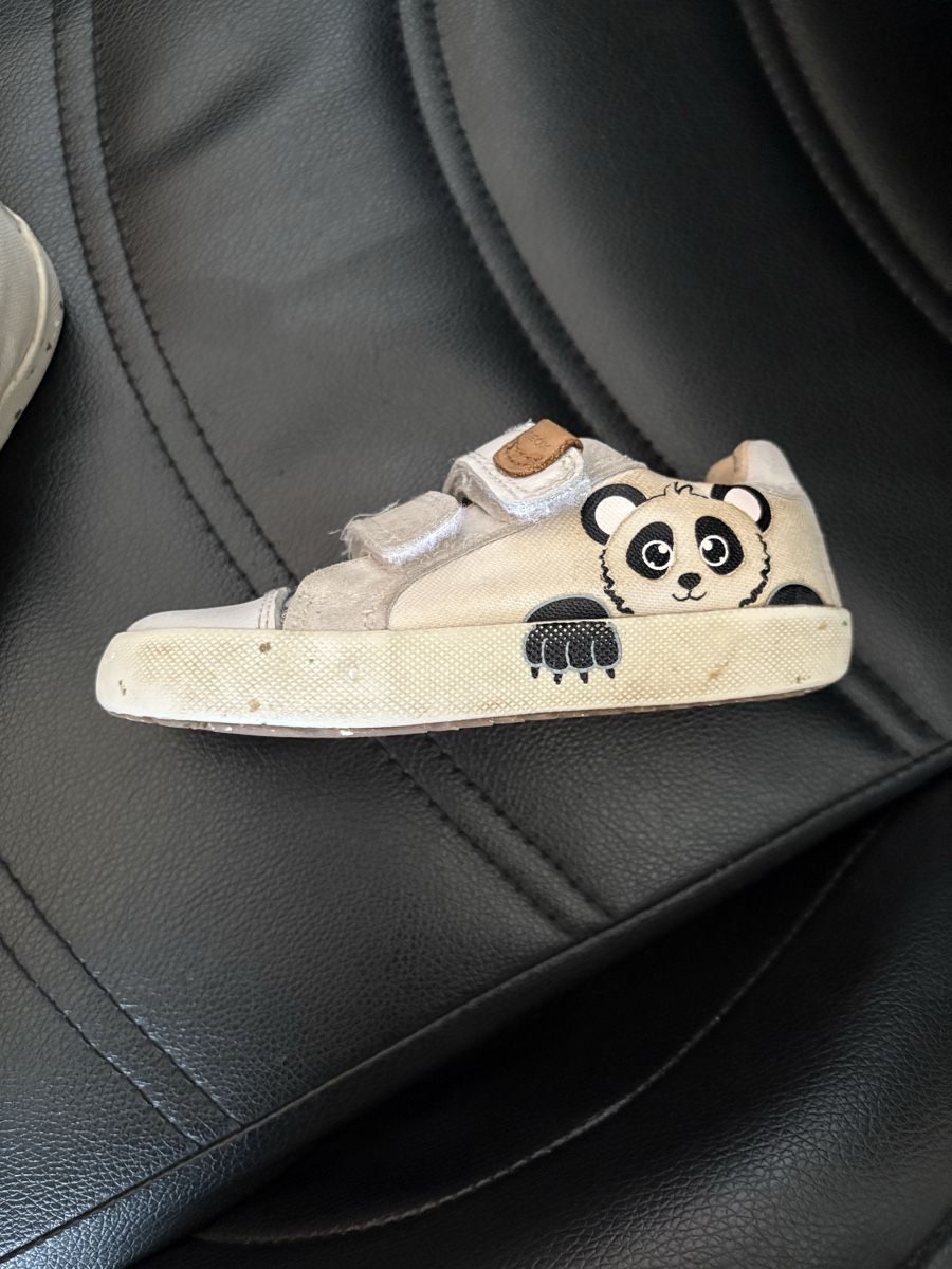 Geox Scarpe per ragazzi: Chaussures panda – Usato da Torgon venduto da k-ro919