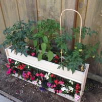 Vertikaler Garten - Urban Gardening - ! (W45)