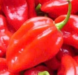 Aliments & Spécialités: Habanero Pulver + Salz – Neuf (Voir description) à Jens par Evo087 1