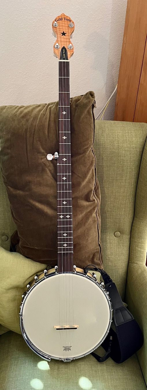 Strumenti musicali: Gold Tone MN-150 LN – Usato da Winterthur venduto da iri_9qr6 2