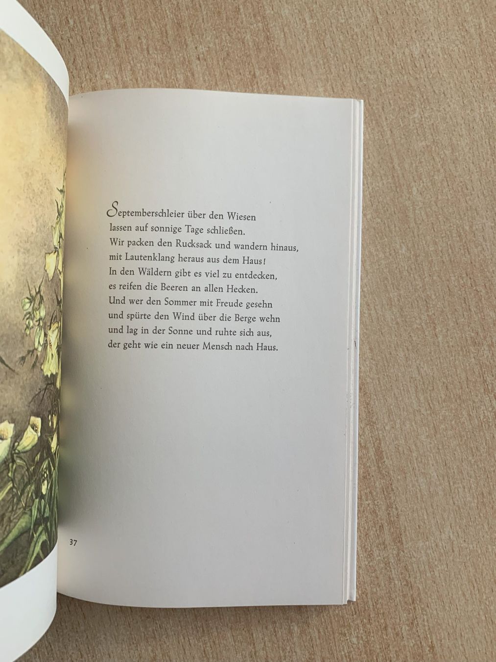 Livres: Leuchtend schöne Welt – D'occasion à Reinach BL par Grolifcb 4