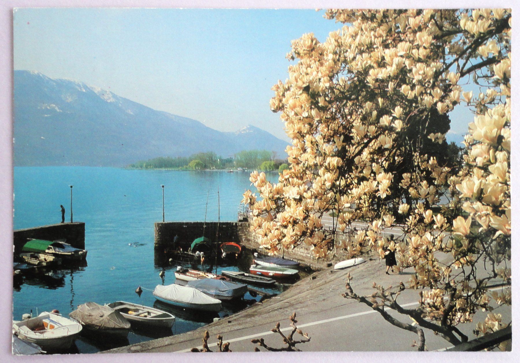 Cartoline postali: Locarno - Muralto – Usato da Fétigny venduto da Billy2miny