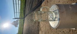 Bierkrug aus Glas