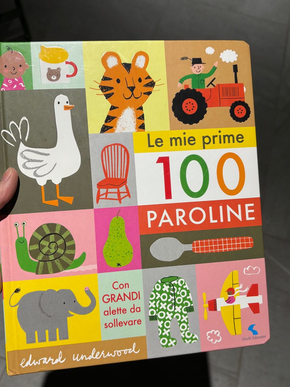 Libri: Livre le mie prime 100 paroline – Usato da Salvenach venduto da gwenwywar