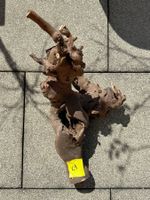 Holzwurzel für Terrarien ca. 51cm lank