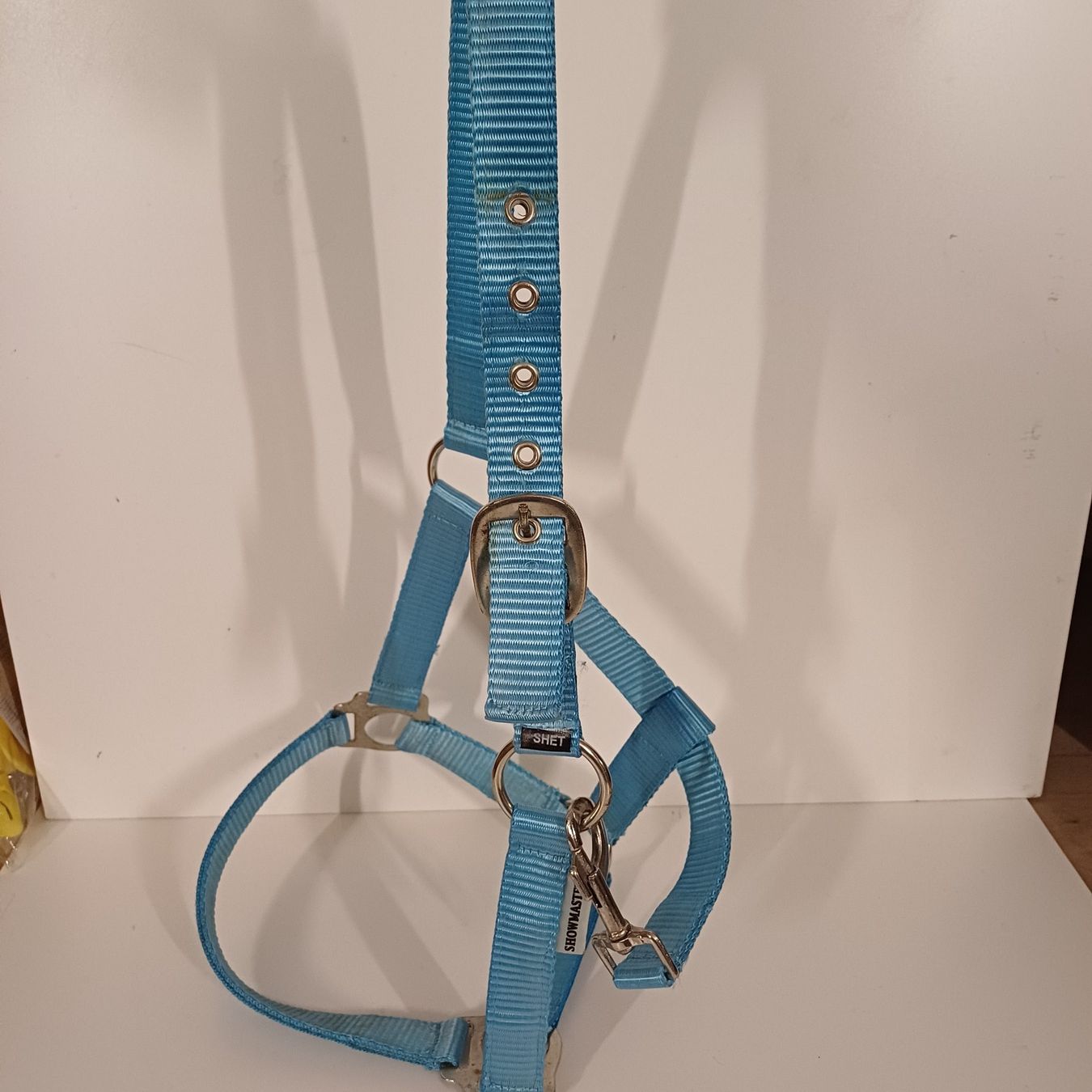 Briglie & Cavezze: Licol bleu taille shetty – Usato da Villeneuve VD venduto da vog_yc5s 2