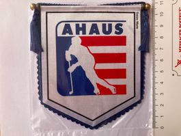 Vintage Fanion/Wimpel   HC  AHAUS   DESERT  HOCKEY ASSOC,