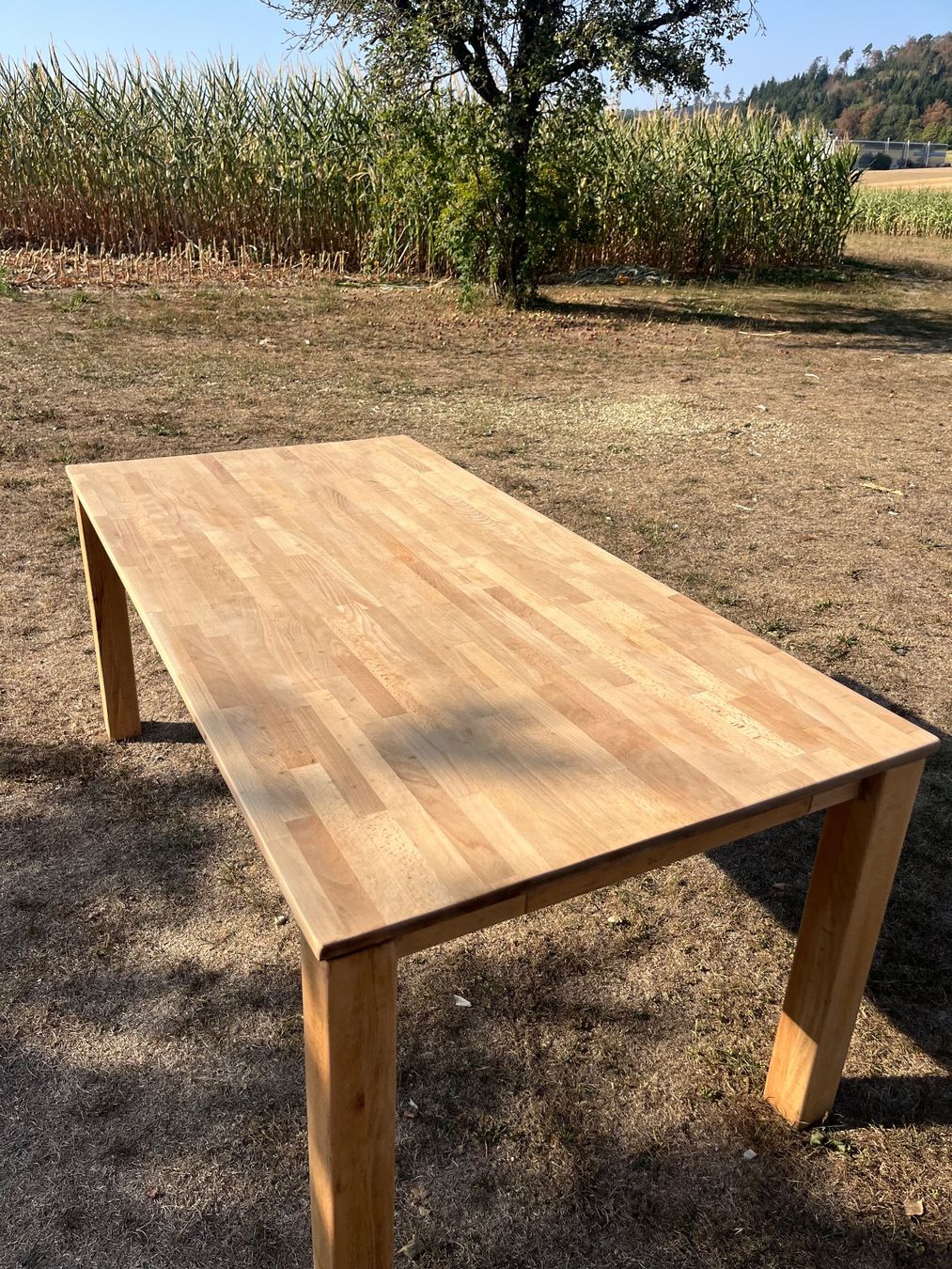 Tables: Tisch Massiv – D'occasion à Allmendingen b. BE par juair 4