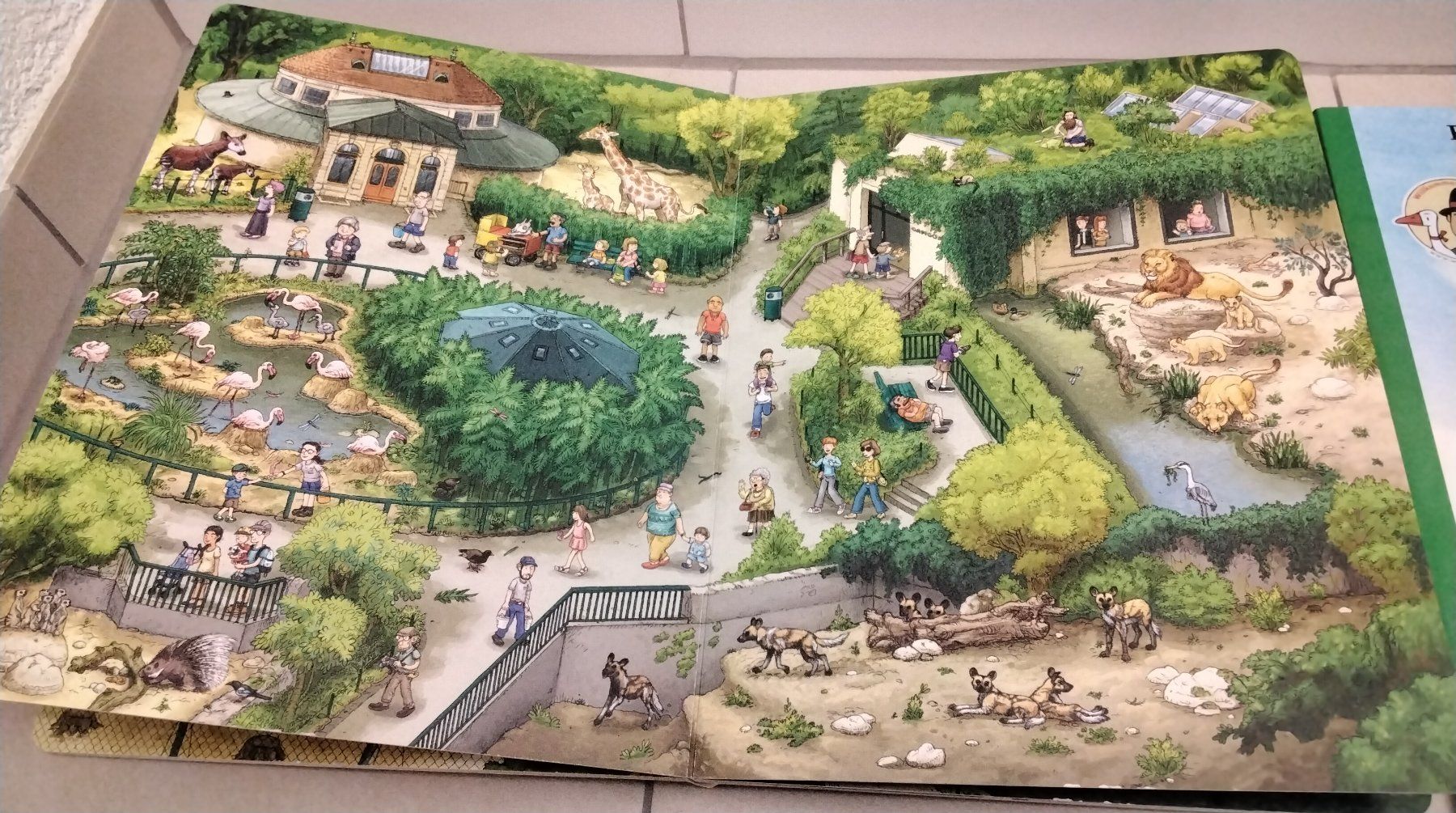 Libri: SOMMER WIMMELBUCH / ZOO  BASEL  WIMMELBUCH – Usato da Steinhausen venduto da pinu09 2