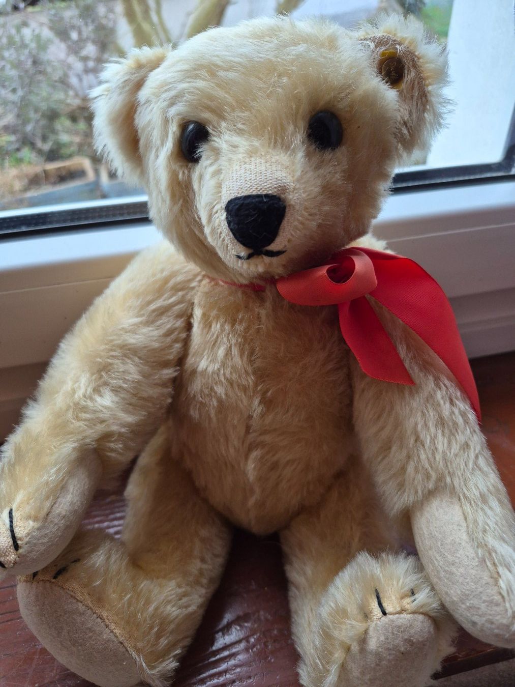 Steiff Giocattoli: ours Steiff – Usato da charmoille venduto da mir_my9f 8