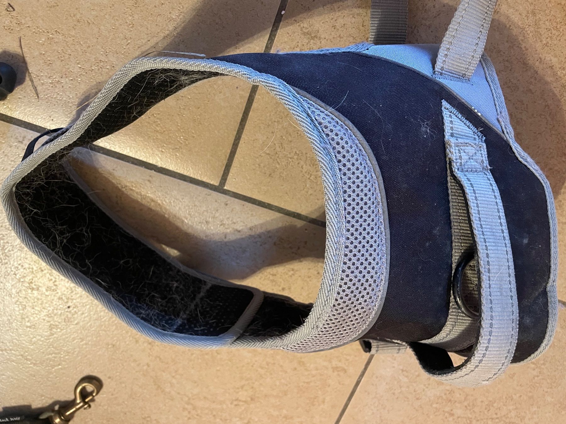 Bekleidung: Hunde Geschirr – Gebraucht aus Gebenstorf von mo06 1