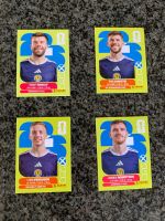 Panini Stickers