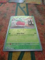POKEMON  Bounsweet    G  PAR EN   008/182   HP60  2023