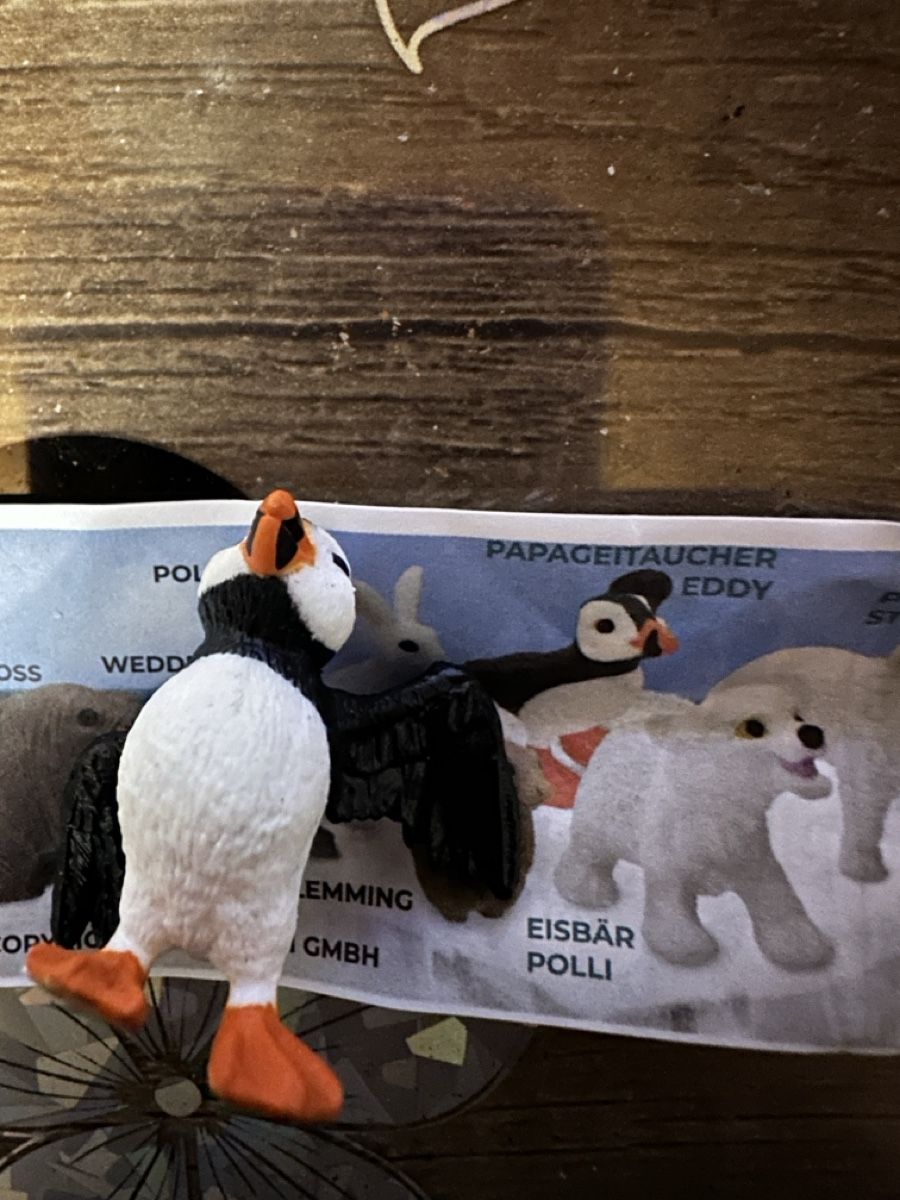 Schleich Statuette: Schleich Figur Papageitaucher Eddy mit Beipackzettel – Nuovo e nell'imballaggio originale da Wangen b. Olten venduto da MOMO80 1