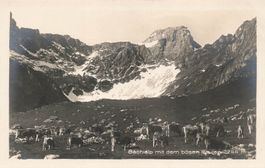 Bächialp (BE) Panorama mit Böse Faulen